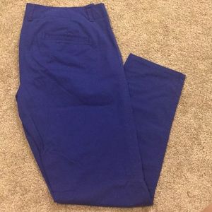 Royal pencil pants